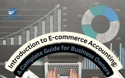 Introduction to E-commerce Accounting: A Complete Guide for Business Owners