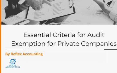 Essential Criteria for Audit Exemption for Private Companies
