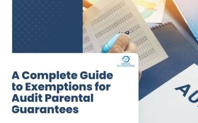 A Complete Guide to Exemptions for audit parental guarantees: Understanding the UK Audit Requirements