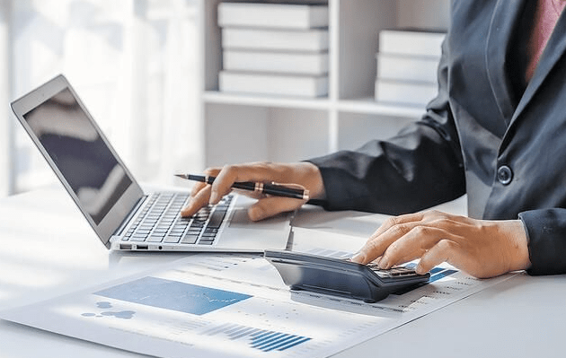statutory audit