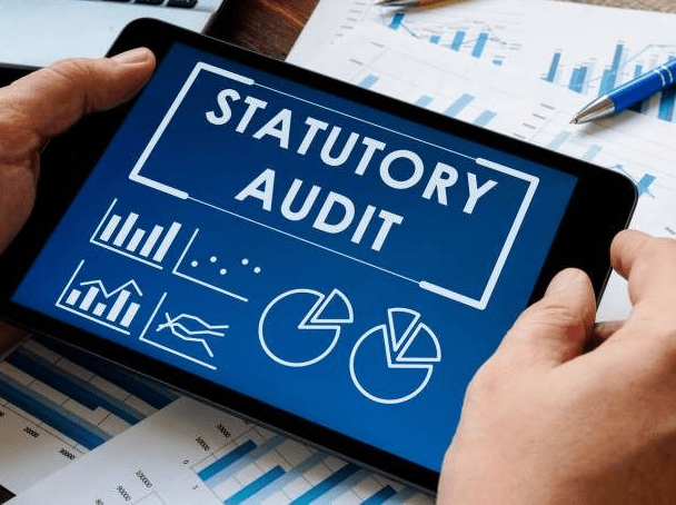 statutory audit