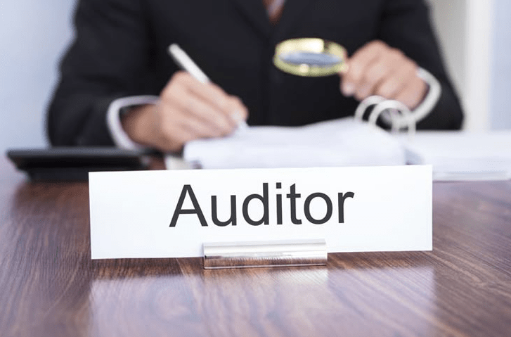 why choose statutory auditor